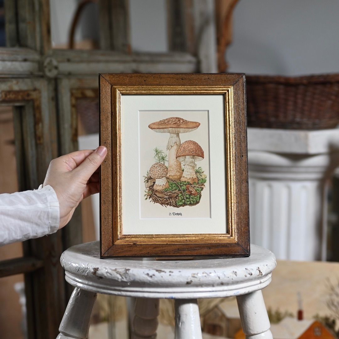 フランス蚤の市額イラスト入りブロカント