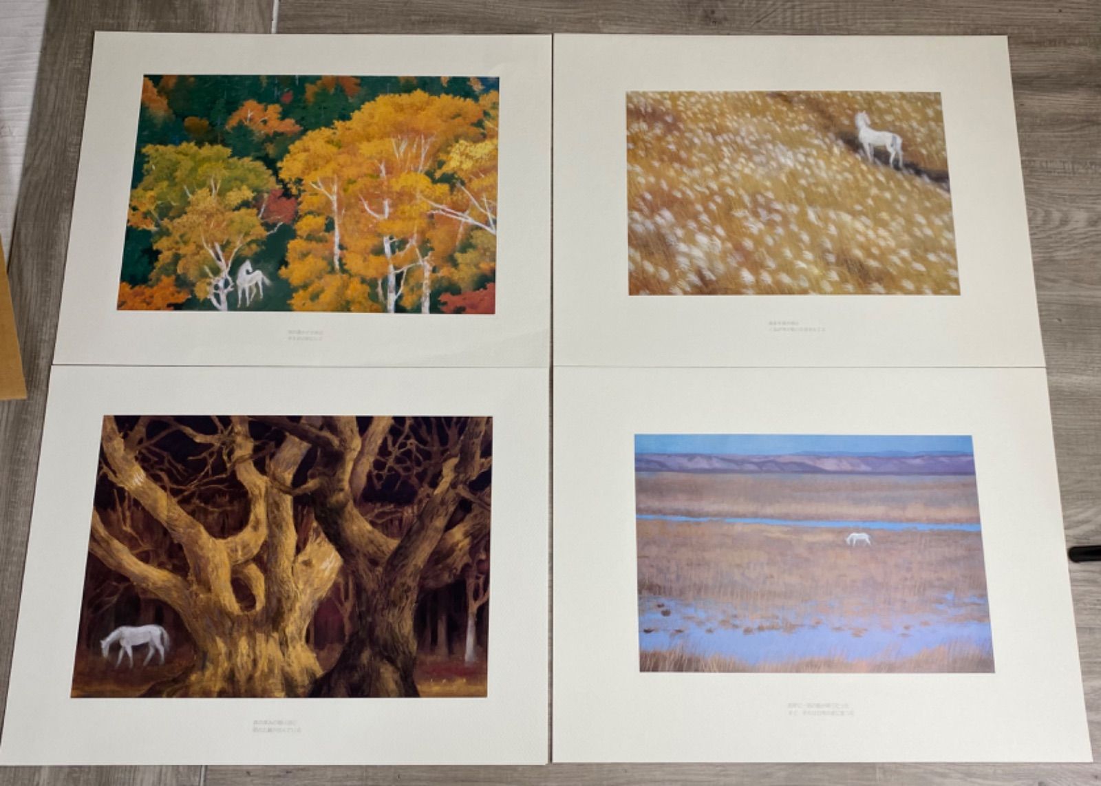 東山魁夷 作品集 『白馬幻想』日本経済新聞社 1990年 東山魁夷