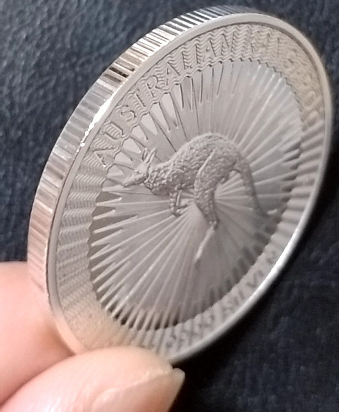 オーストラリア カンガルー 2016年 記念 銀貨 オーストラリア