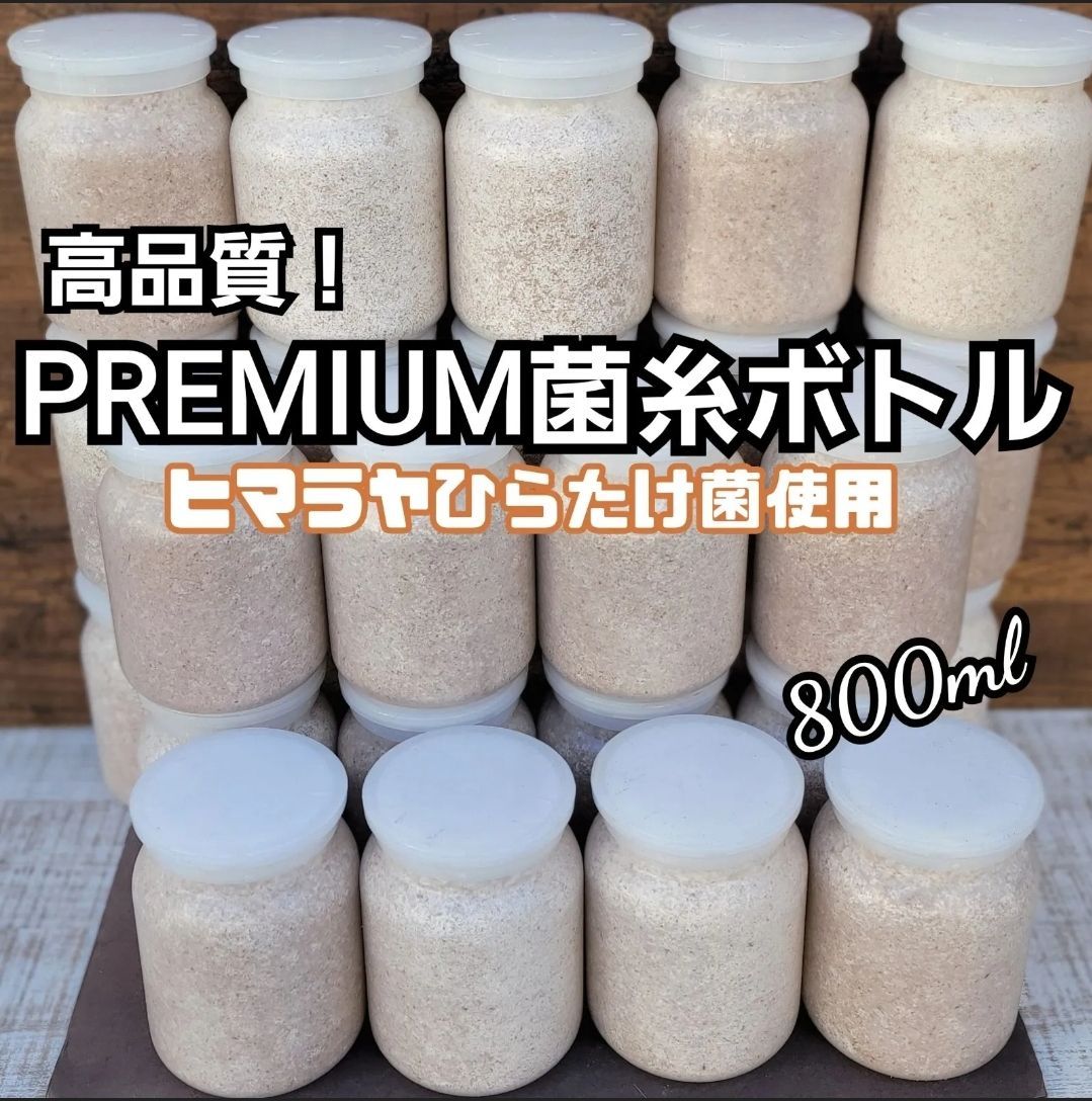 ヒラタケ爆弾菌糸瓶 800cc – クワガタムシ・カブトムシ昆虫専門店
