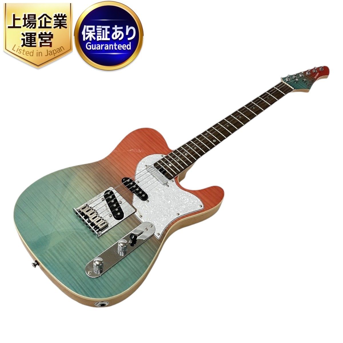 Aria Evergreen Aria Pro II限定モデルオリジナルケース付 Aria