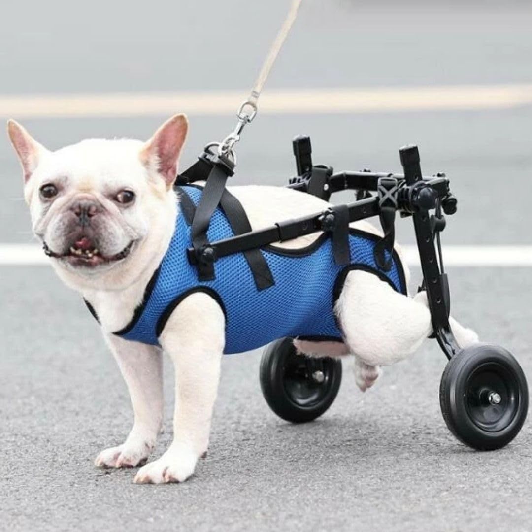 犬用車椅子 フルサポート4輪犬用車椅子、調節可能な4輪犬用車椅子