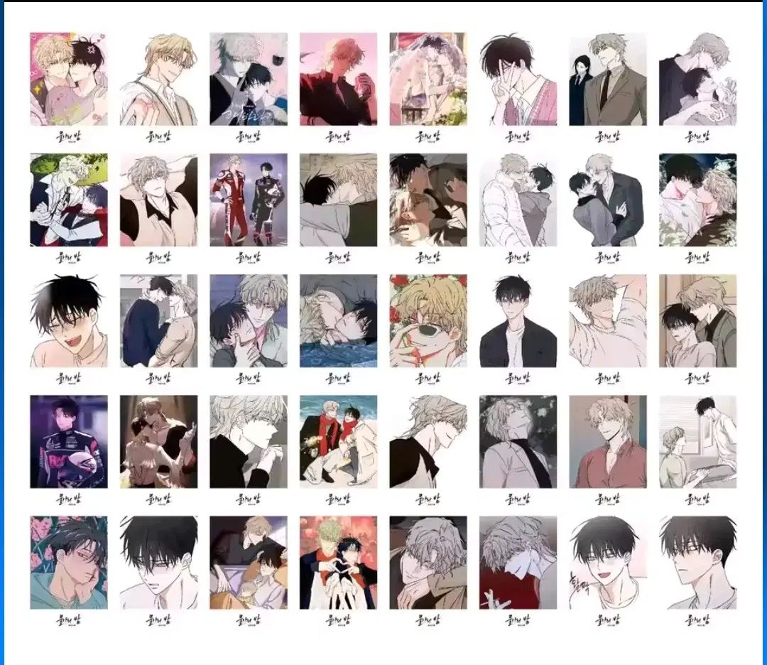 BOMTOON イベント フォトカード トレカ 韓国BL 韓国 BL BOMTOON