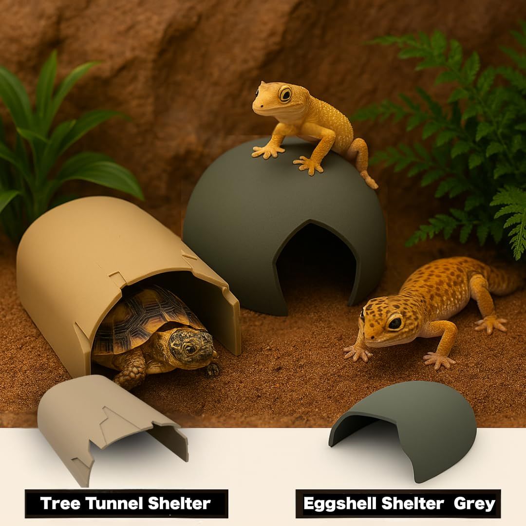 爬虫類用流木のおすすめ人気ランキング【2025年11月】 | マイベスト