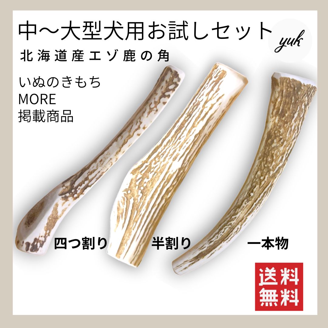 猫の置き物3点セット フィリップ・ローレストン作 英国BABBACOMBE窯