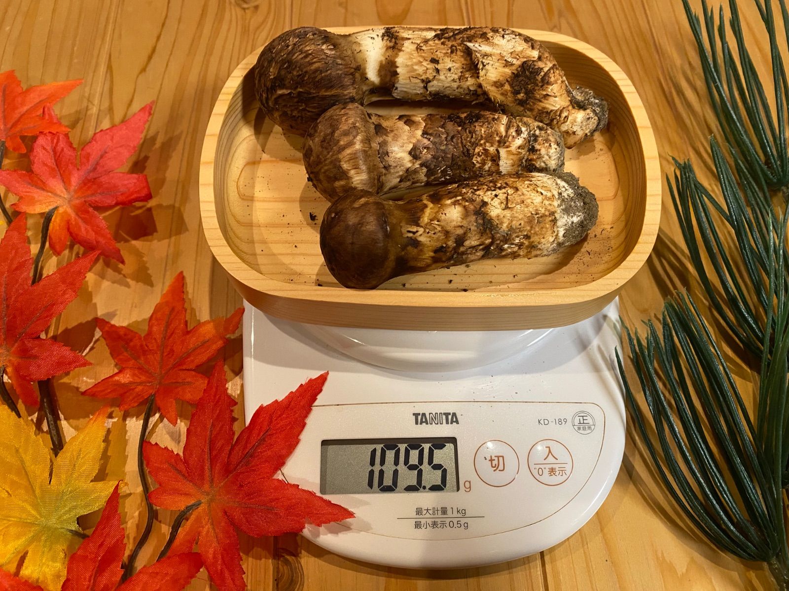 国産「北海道産」新鮮 松茸 北海道松茸 【公式通販】