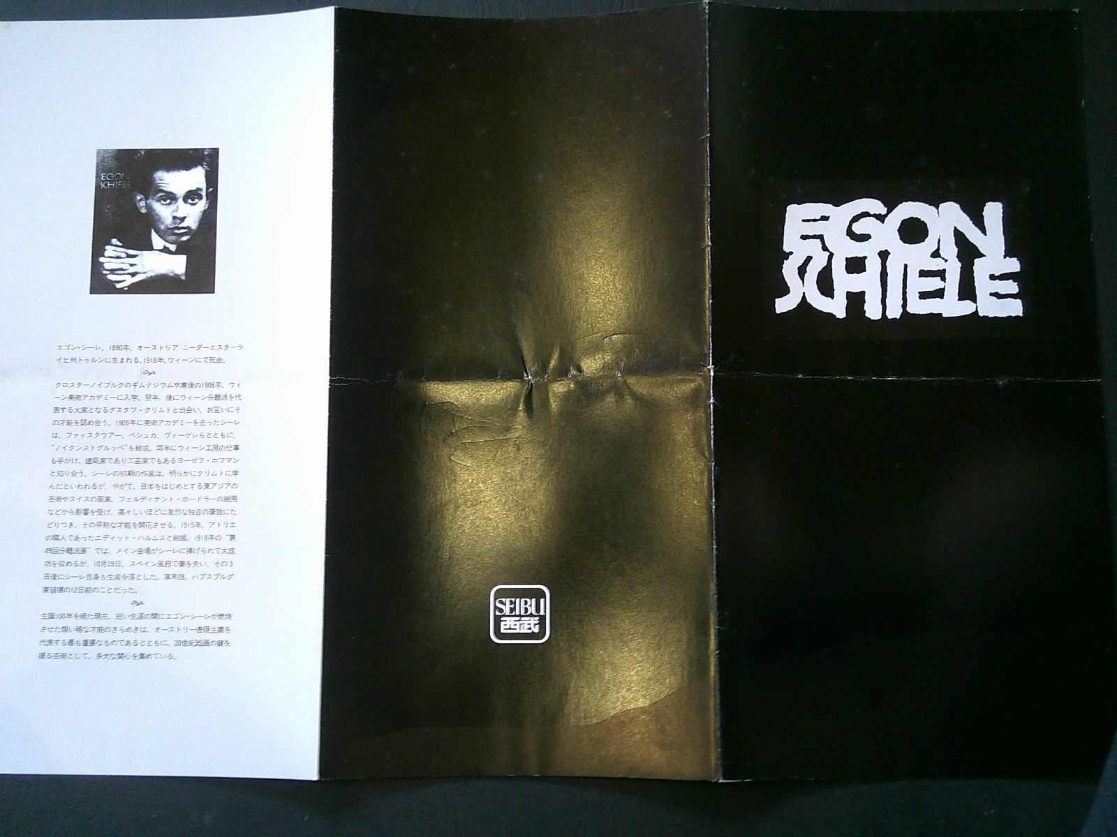 エゴン・シーレ 生誕100周年記念リトグラフ集 208/600 真作保証 - メルカリ