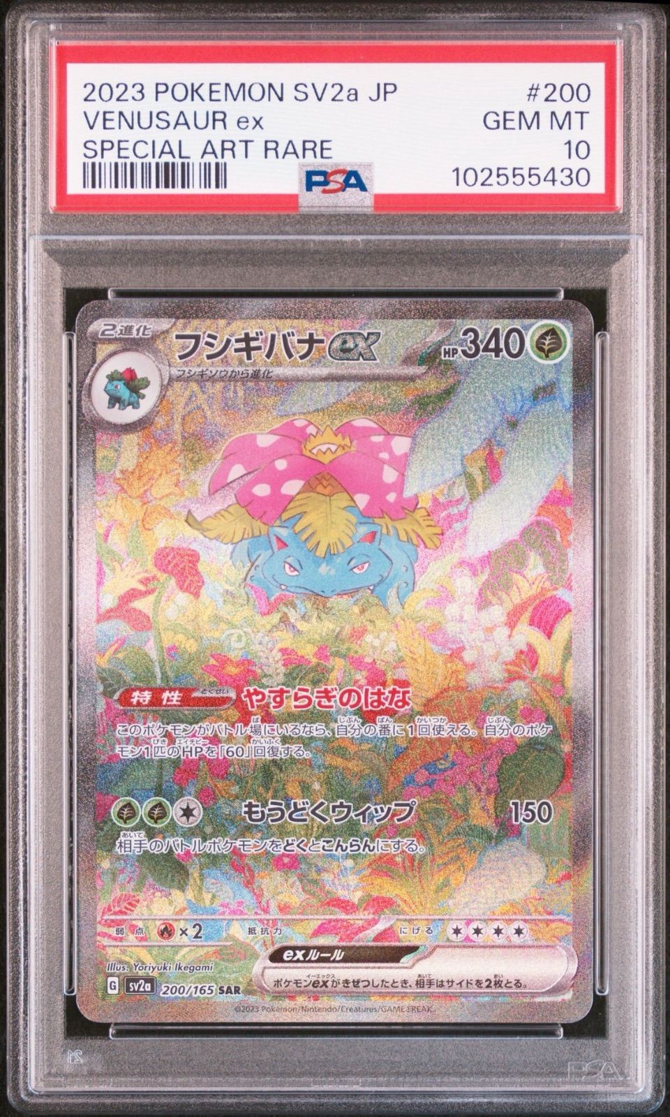 TAG10 リザードンex フシギバナex SAR リザードン ex sar psa10