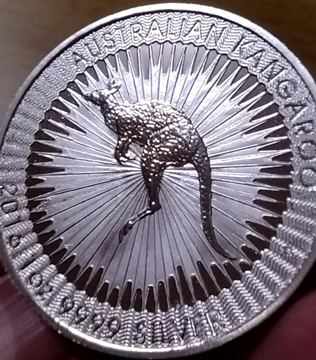 オーストラリア カンガルー 2016年 記念 銀貨 G495 オーストラリア