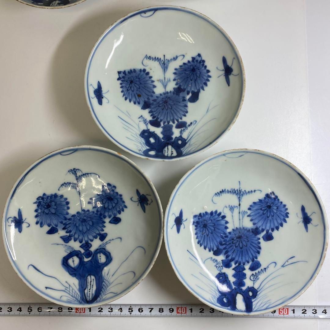 中国明時代 古染付上手菊図皿5枚 木箱付 約