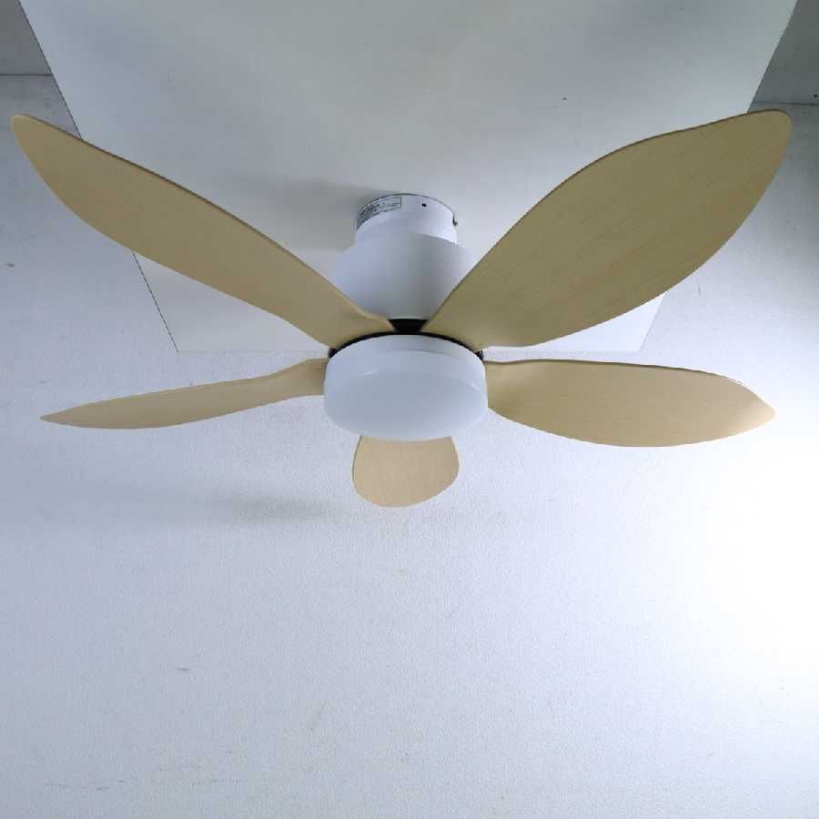 フォリア シーリングファンライト vo410579 5枚羽 2024年製 展示品