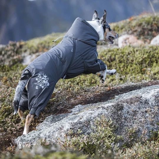 Hurtta] Extreme Overall グレー 35S～45Mサイズ 注文 Hurtta フルッタ