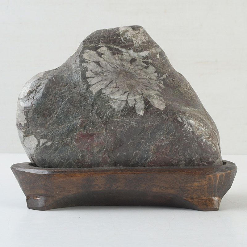 天然石 鑑賞石 菊花石 置物 重さ約1.7kg 唐木台付 V R6819 天然石 鑑賞
