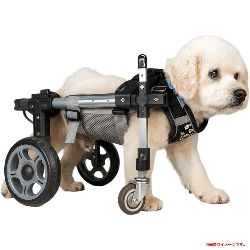 グレース 犬用車椅子 犬の歩行器 マルチーズ 犬の車いす 歩行補助