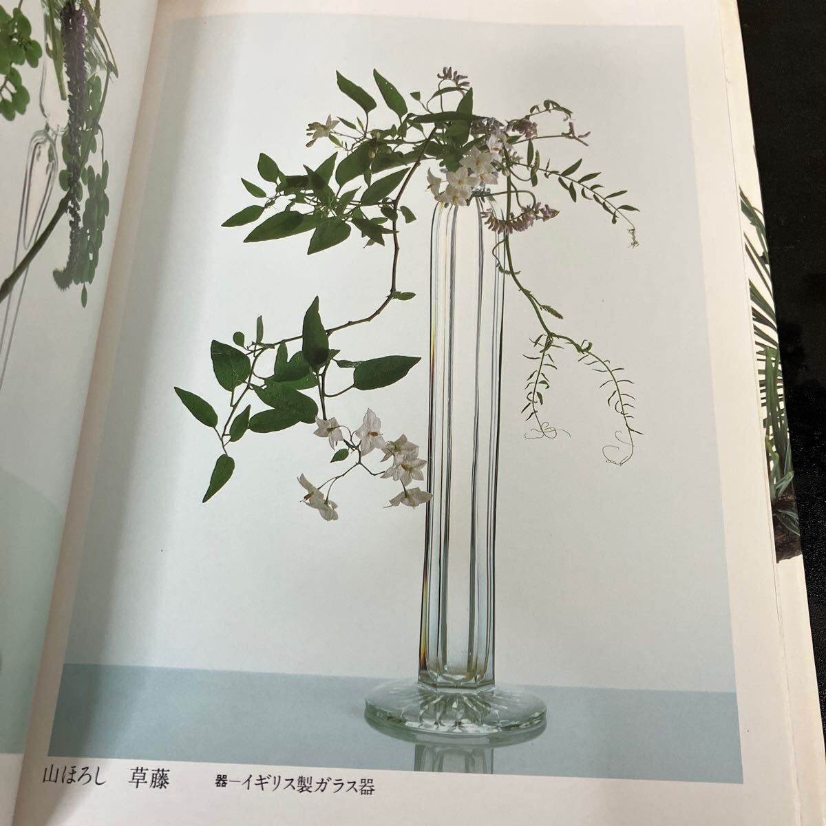 花は野にあるように 「なげいれ」のすすめ 川瀬敏郎 花は野に