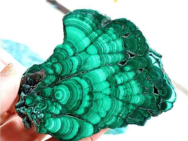 黒塗金蒔絵花筏文手桶水指箱付き [B26694]