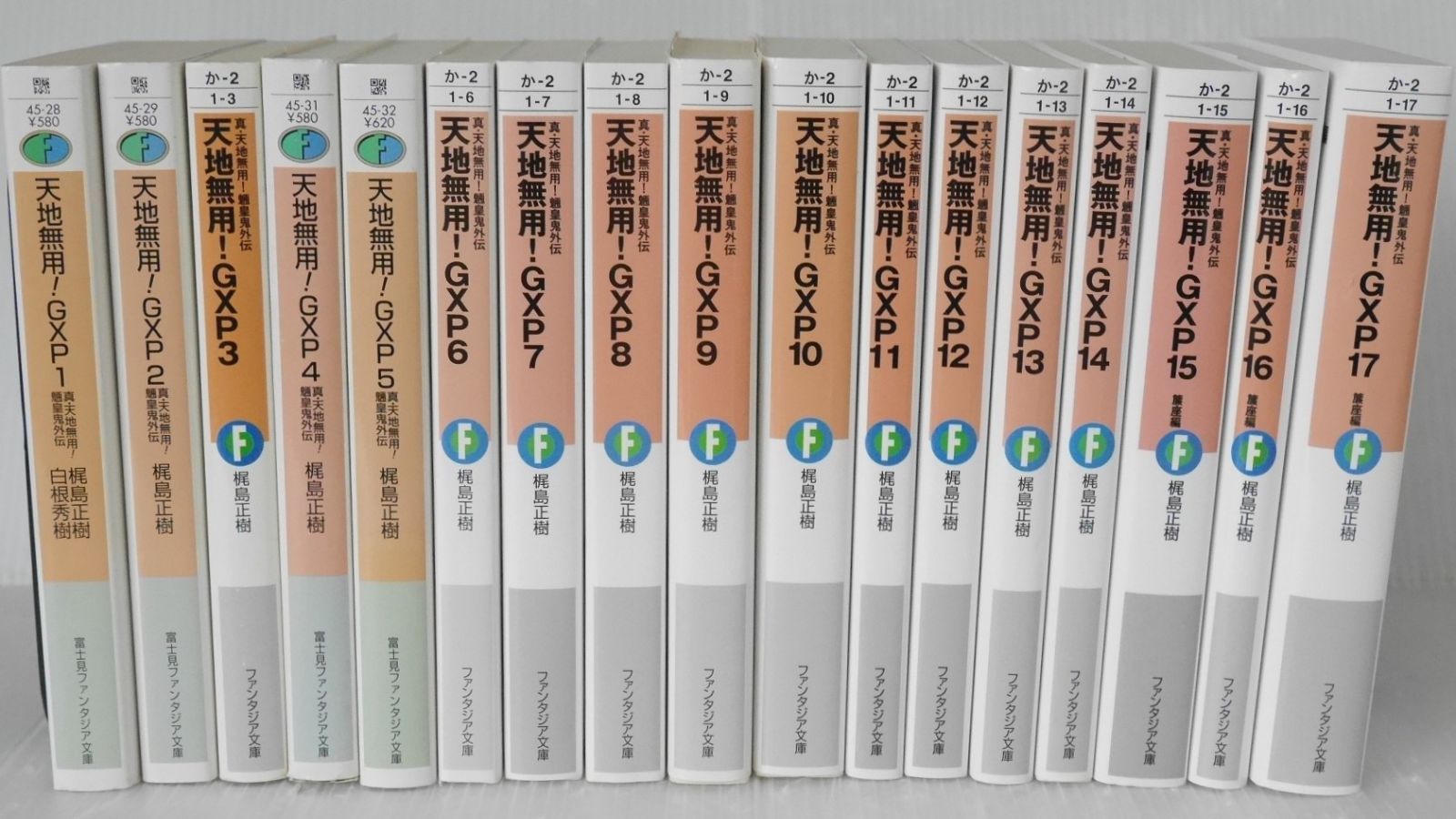 真・天地無用!魎皇鬼外伝 天地無用!GXP 1-17巻セット - Novel: 最高