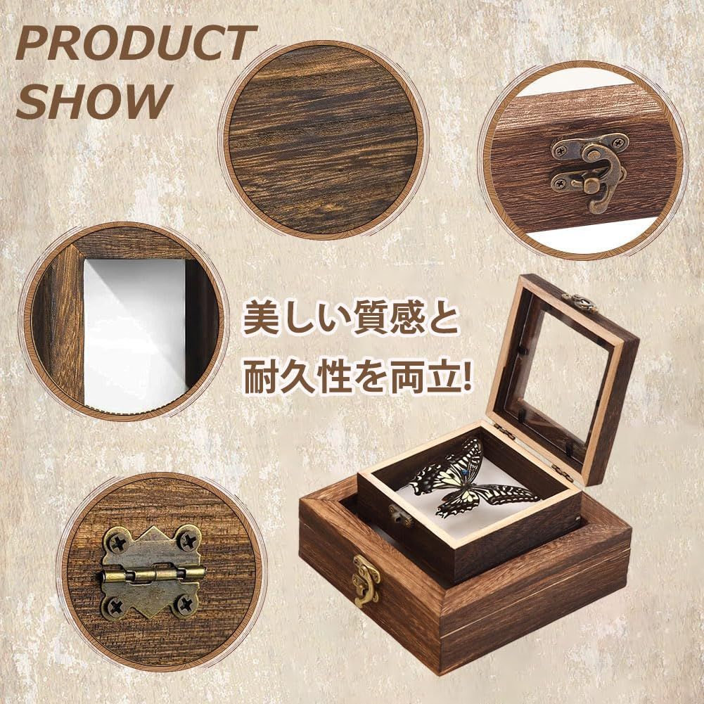 大型ドイツ型標本箱（黒） : インセクテック・ドット・コム - 通販