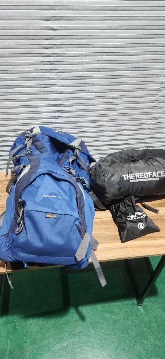 カイエ 1957-1972 シオラン 金井裕訳 カイエ コレクション 1957-1972