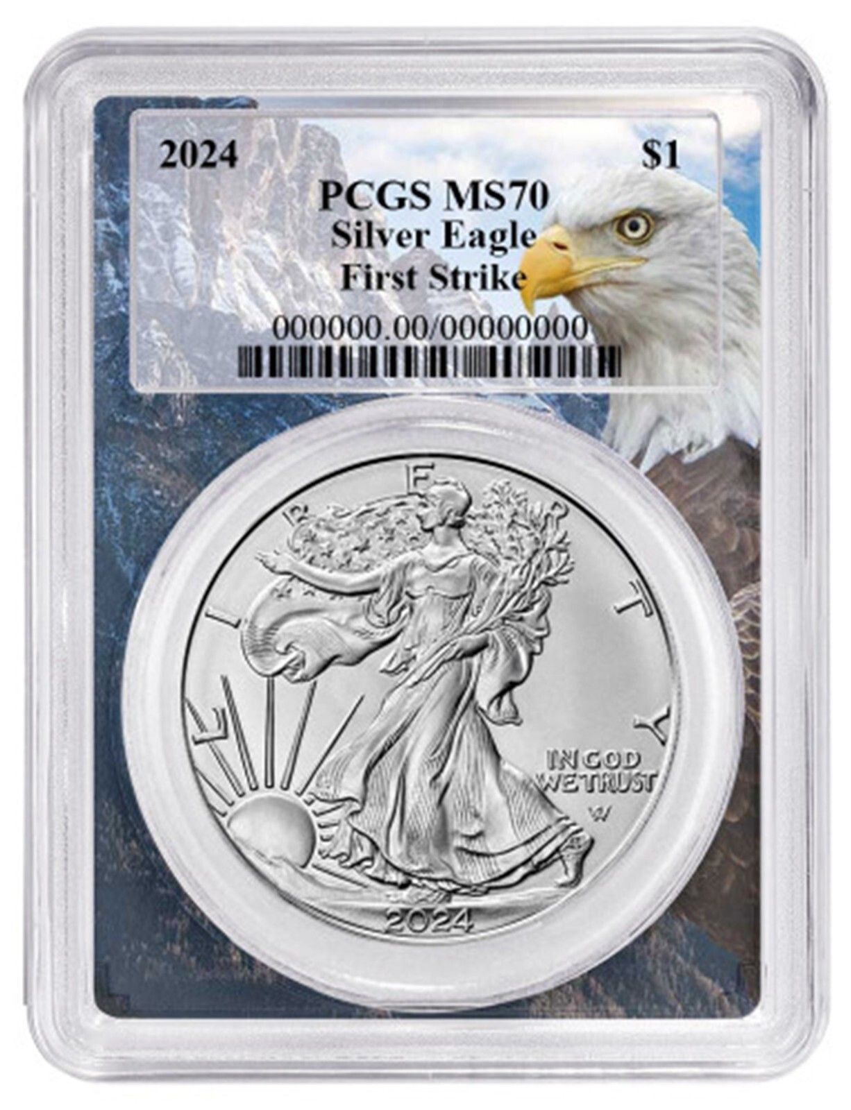 鷲 鷹 イーグル 額装済 A1サイズ（約59x84cm）】【lh-poster-8791