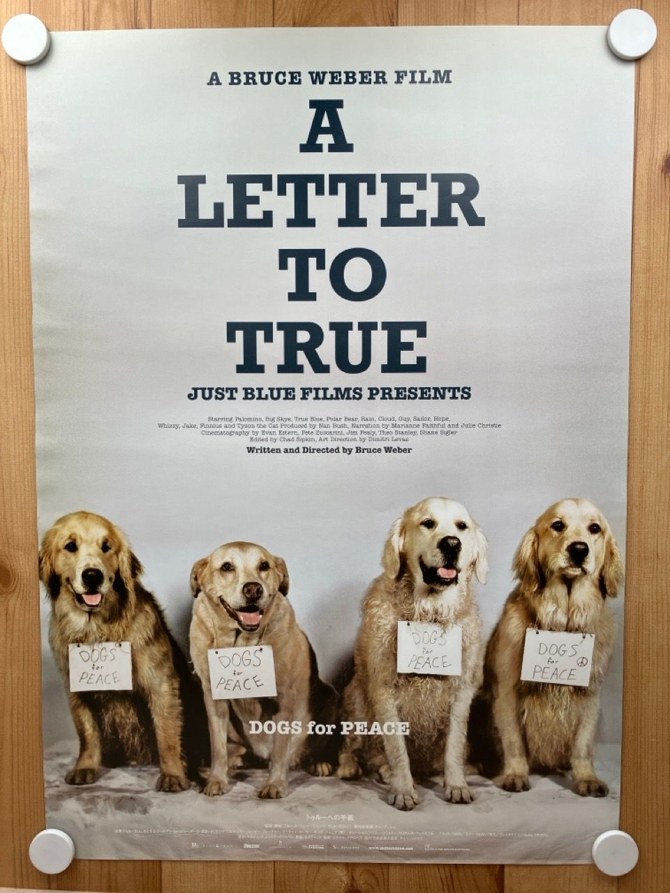 ポスター BRUCE WEBER A LETTER TO TRUE トゥルーへの手紙 ブルース