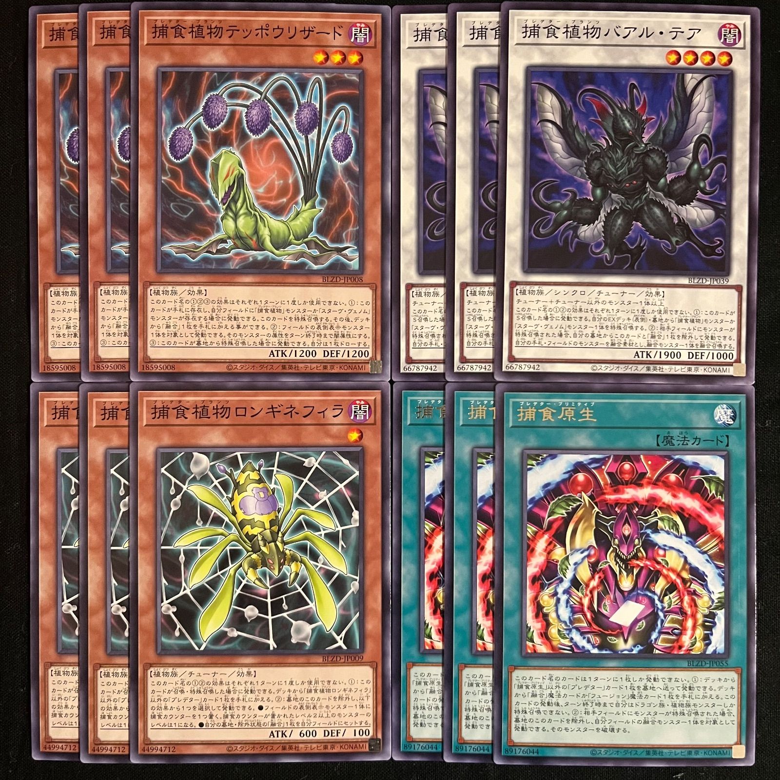 遊戯王 捕食植物 プレデター・プランツ デッキパーツ 12枚セット BLZD