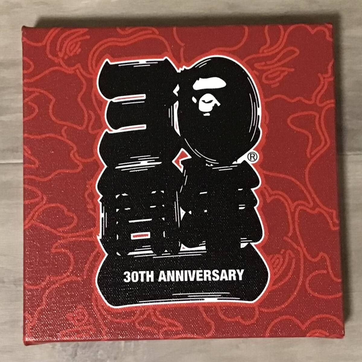 ア ベイシングエイプ 20周年キャンバスアート FUTURE 小サイズ A