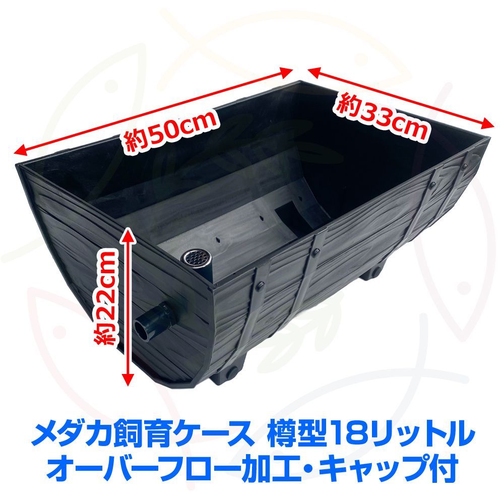メダカ飼育ケース【56㍑白黒灰選択可 4個 オーバーフローキャップ付
