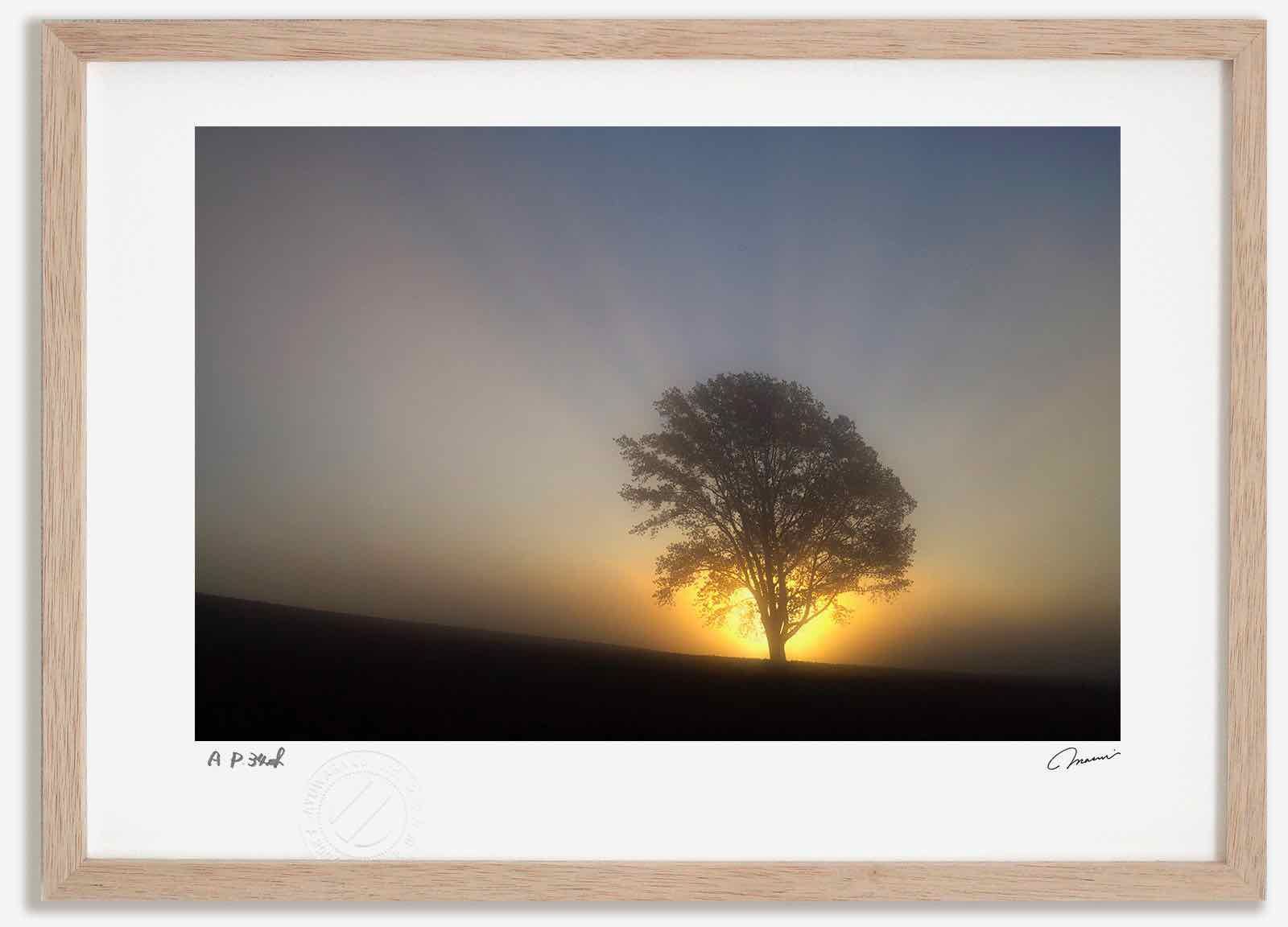 ☆大谷一良 木版画「雲と草原」鉛筆サイン入り・限定50部 ☆