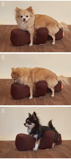 高齢犬のリハビリ用姿勢サポートクッション Mサイズ 撥水カバー付属