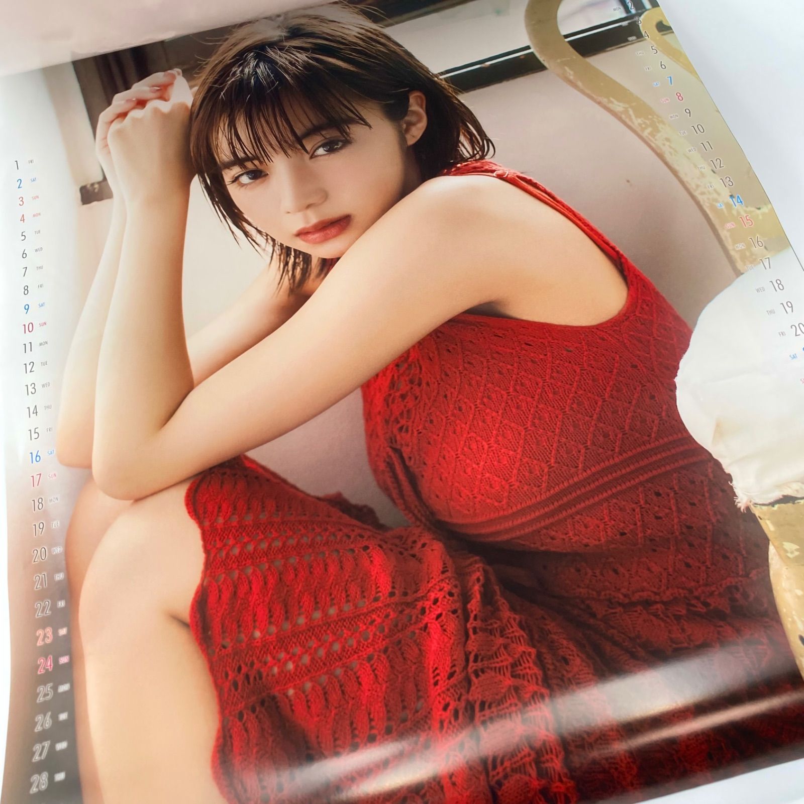 サイン入り】池田エライザ 2018カレンダー 池田エライザ 生写真