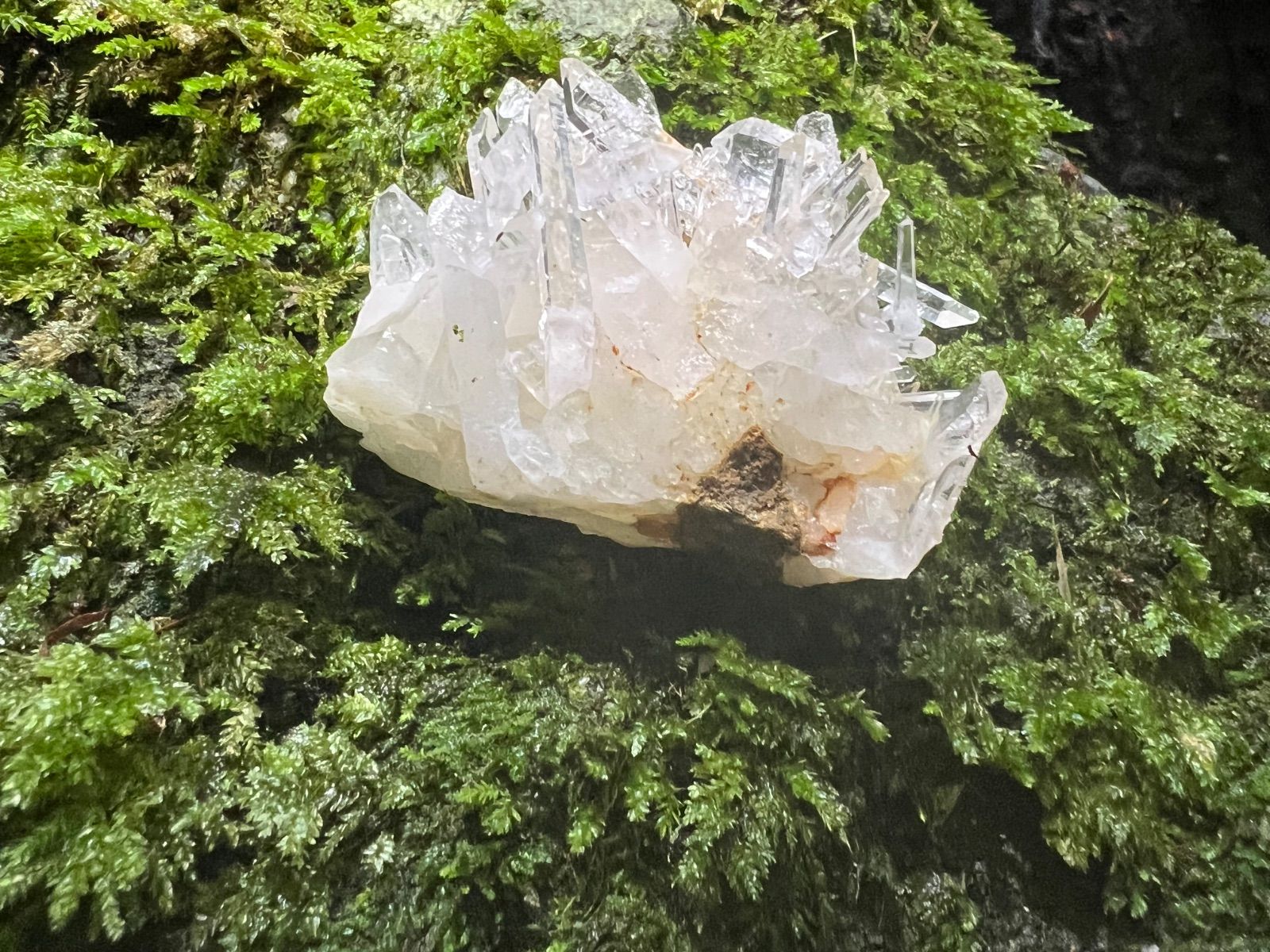 龍脈の精髄 ― 宮崎産黒水晶 「闇を封じる最強の護り」【保護猫活動支援