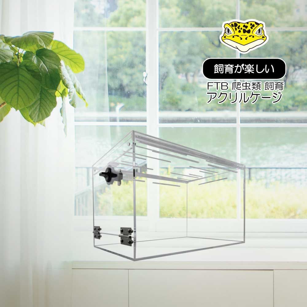 手作りガラス温室風テラリウムケース Amazon｜ミニ温室 室内 人工観葉