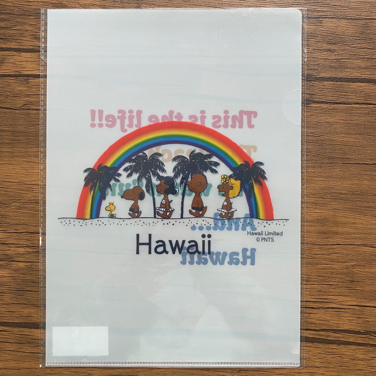 ラスト1枚】モニホノルルの日焼けスヌーピーキャンバスアート ハワイ