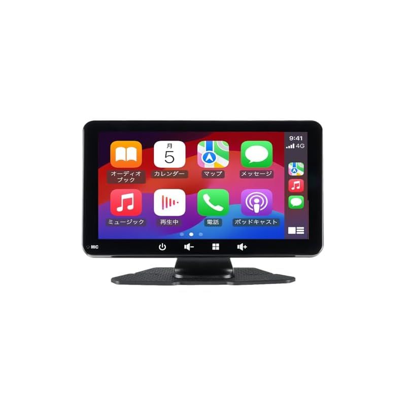 Nardan ナルダン ピックギター ケース付 弦交換済