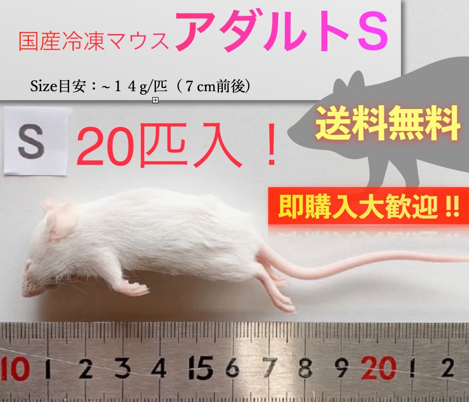 キャッツ様専用冷凍ラット20匹 【公式通販】