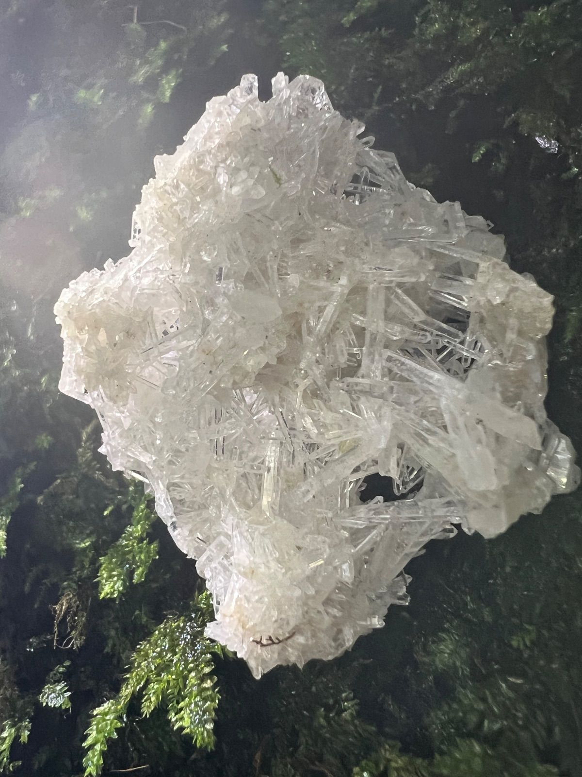 龍脈の精髄 国産ブラックルチル水晶クラスター売上一部保護猫活動に 龍脈