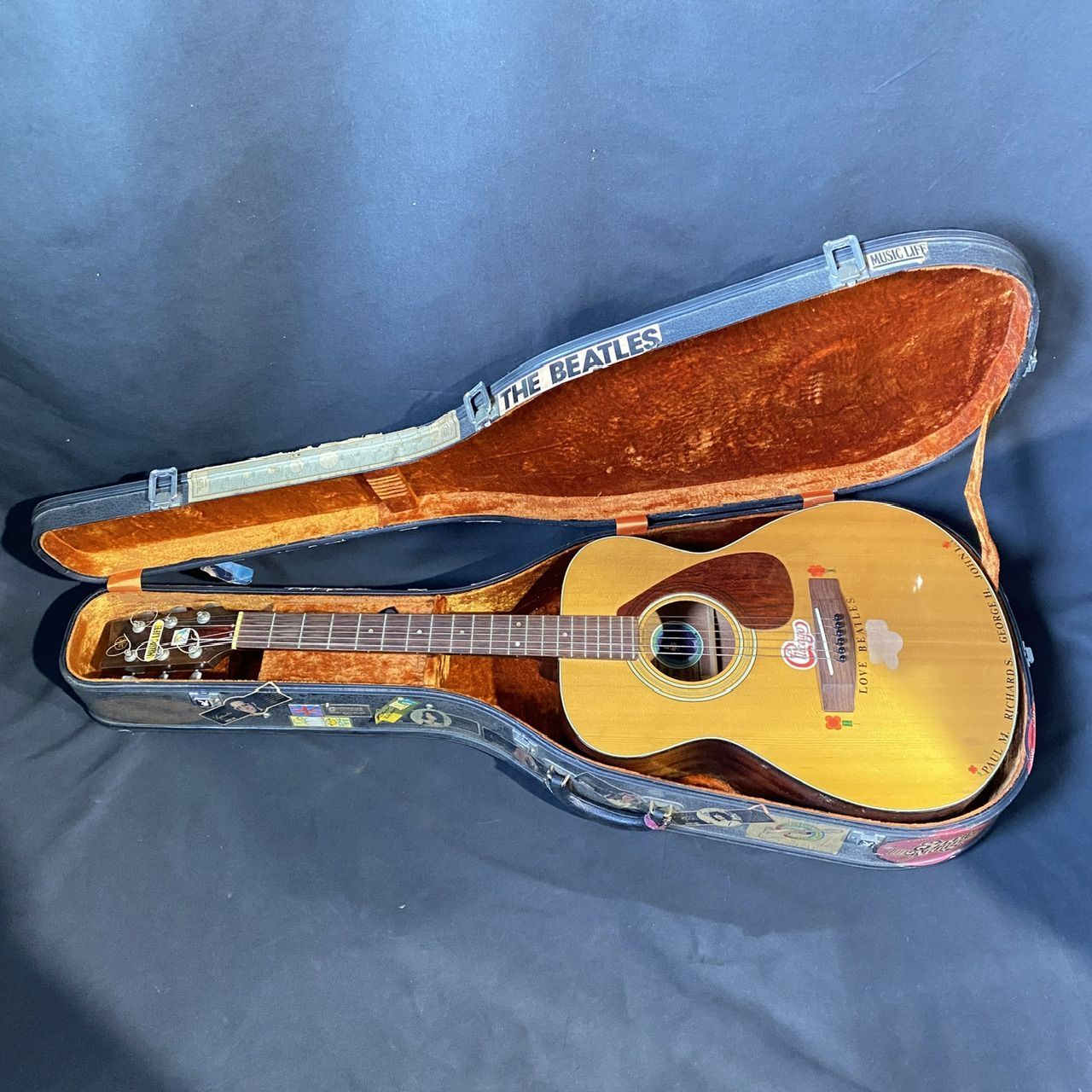 シーガル Seagull Grand パーラーギター Seagull Entourage Grand