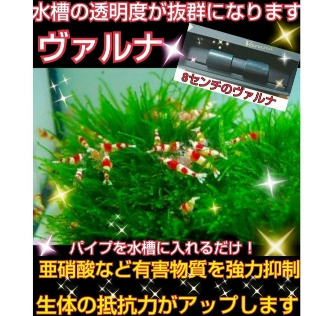 水槽の水が綺麗になる【ヴァルナ】有害物質を抑制し透明度抜群に！水槽