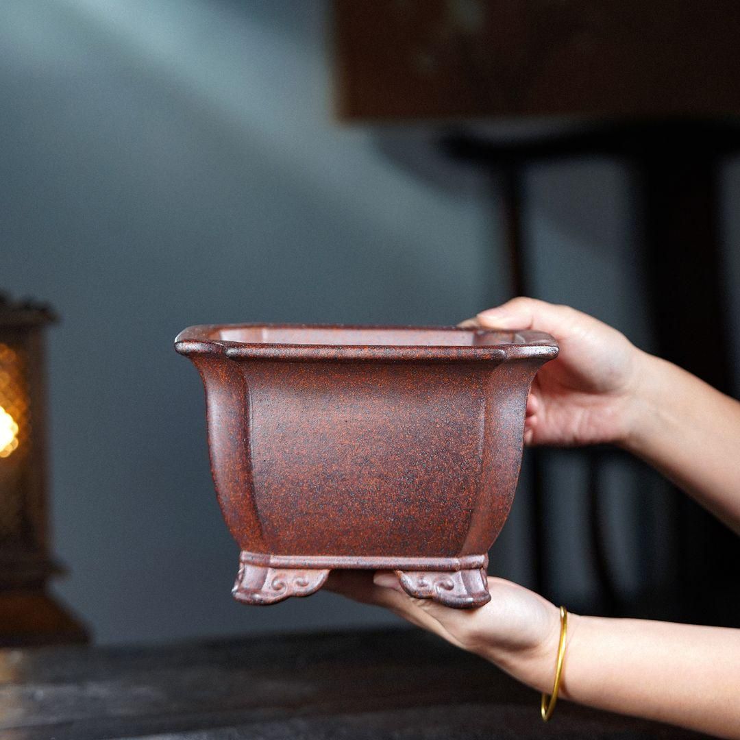 竜紋高脚楕円鉢 多肉植物鉢 紫砂鉢 盆栽鉢 植木鉢 小品盆栽鉢 大品盆栽