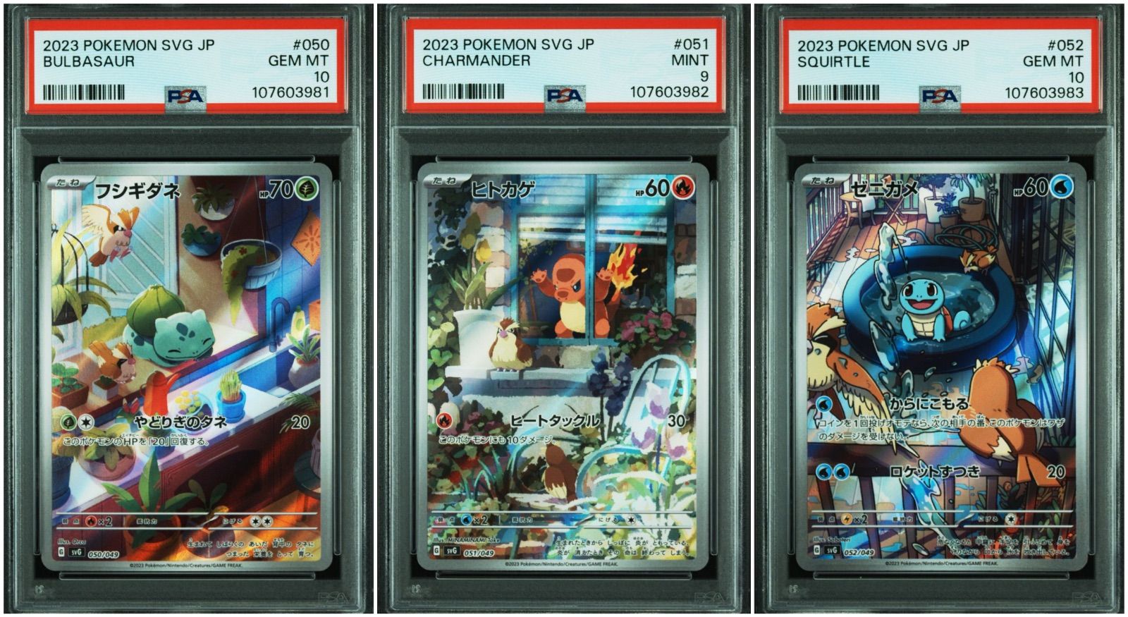 フシギダネ ヒトカゲ ゼニガメ AR スペシャルデッキセットex ポケカ