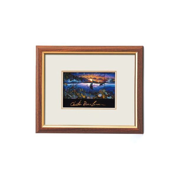 3029 外国切手 オーストラリア 1991年 犬 猫 動物 4種完