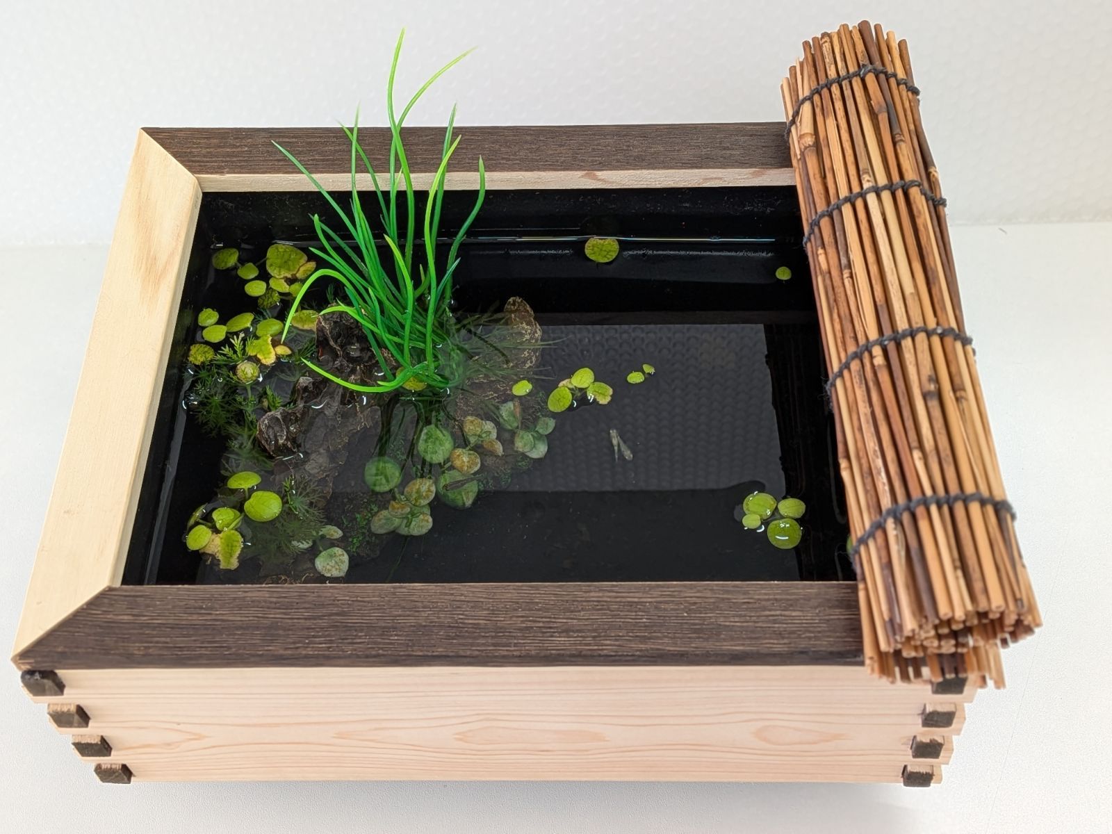 60Lトロ舟と木枠のセット めだか 飼育ケース 新品】60Lトロ舟と