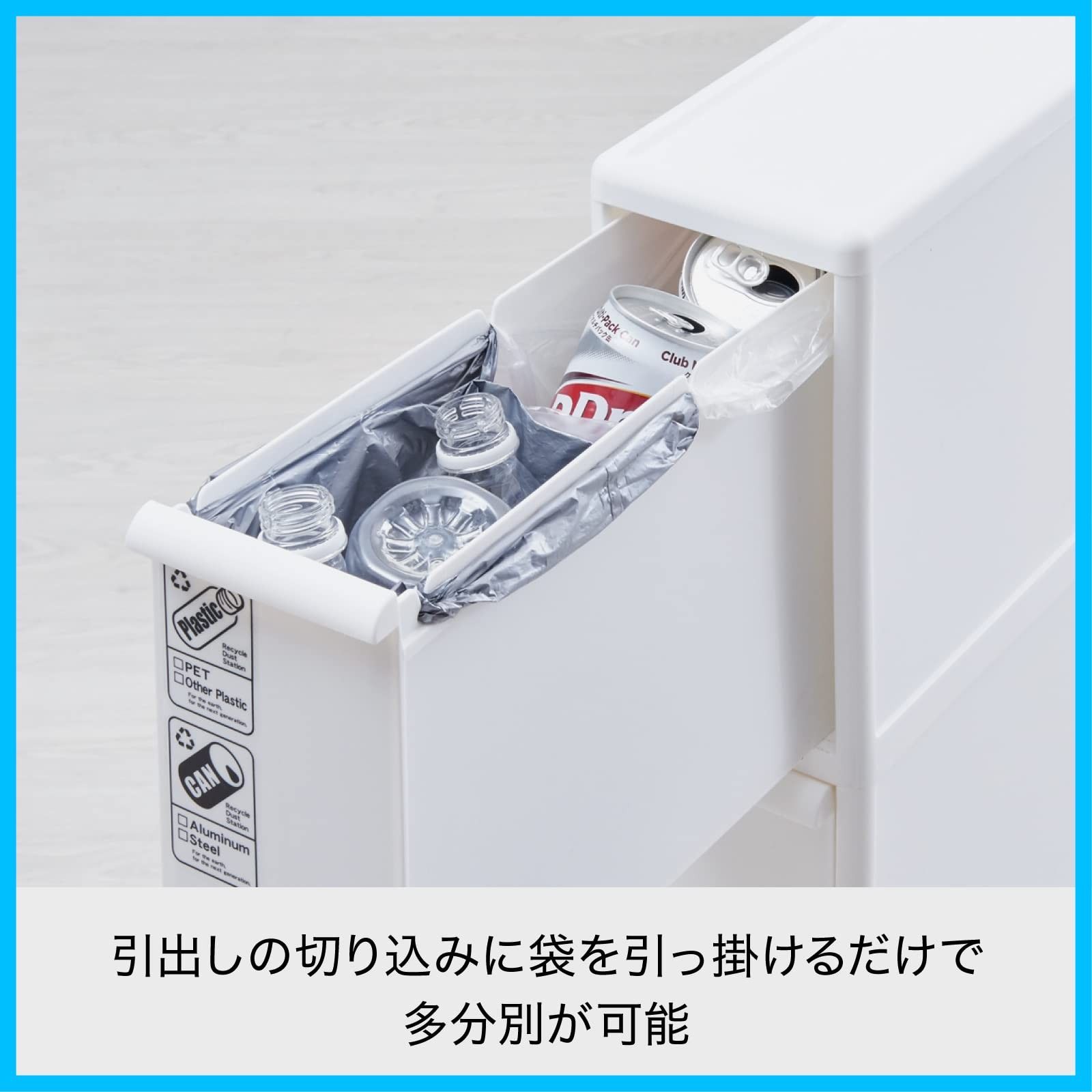 沖縄県産 哺乳類の歯化石 沖縄産 哺乳類の歯化石 新生代の一時期、北米