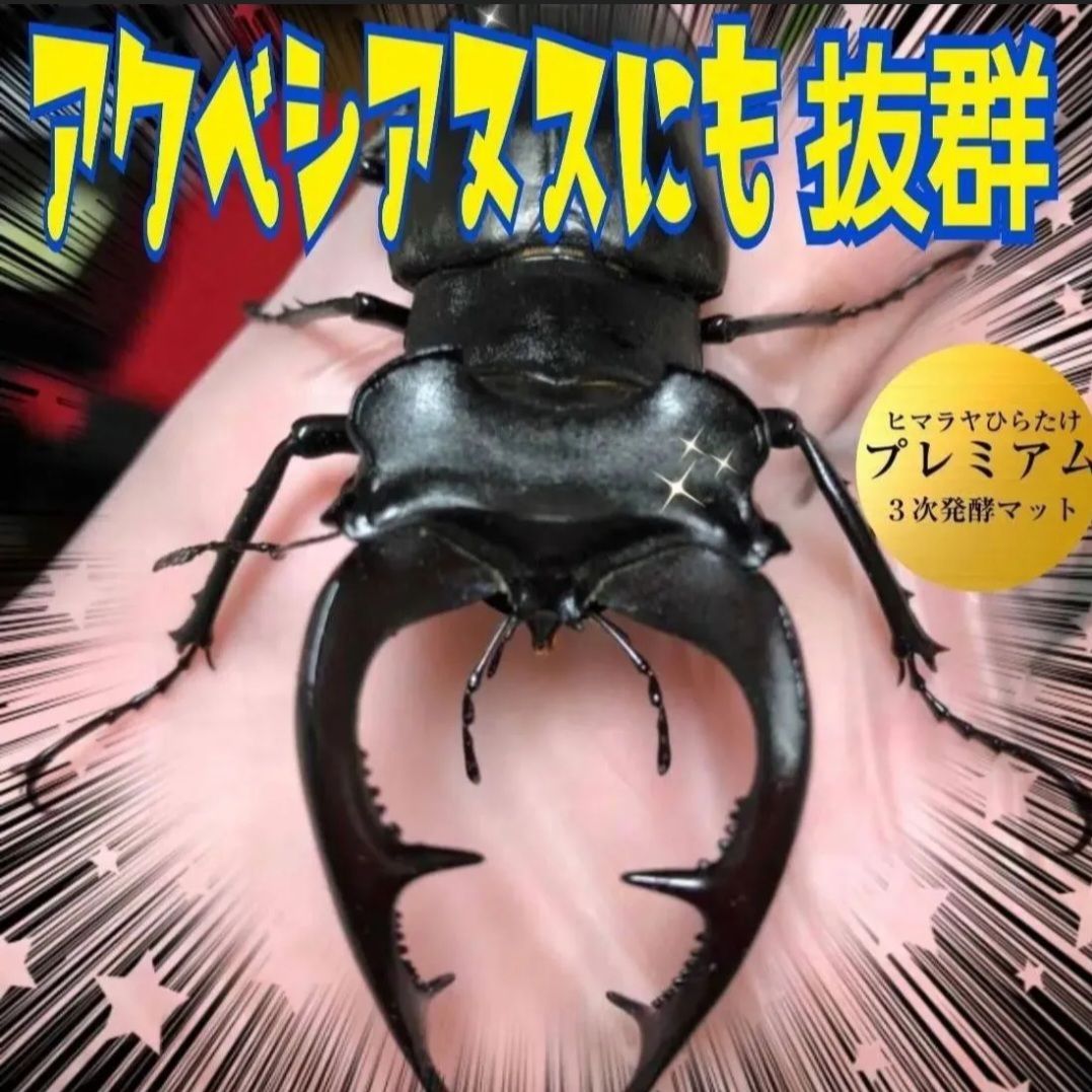 極上！プレミアム3次発酵カブトムシマット【60リットル・6袋セット