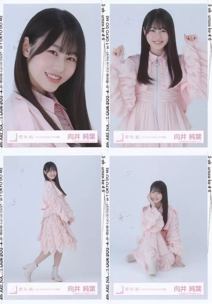 櫻坂46 向井純葉 東京ドーム 撮りおろし 撮り下ろし プレミアム生写真 櫻