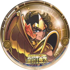 聖闘士星矢 ペガサス星矢刺繍ベルクロパッチ 直径約10cm 聖闘士星矢