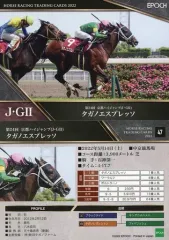 タスティエーラ Dレーン 世界限定 ホースレーシングカード 専用台座付