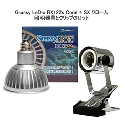 2026年最新】グラッシーレディオの人気アイテム - メルカリ