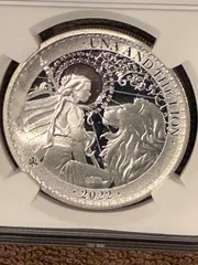 2026年最新】ウナとライオンの人気アイテム - メルカリ